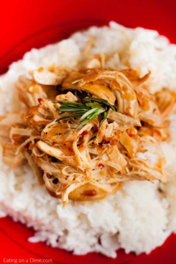 Close up image of savory chicken on rice on a red plate. 