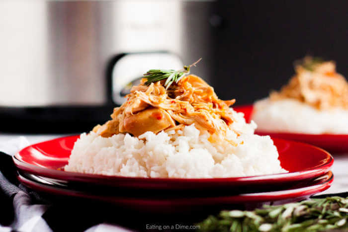 Close up image of savory chicken on rice on a red plate. 
