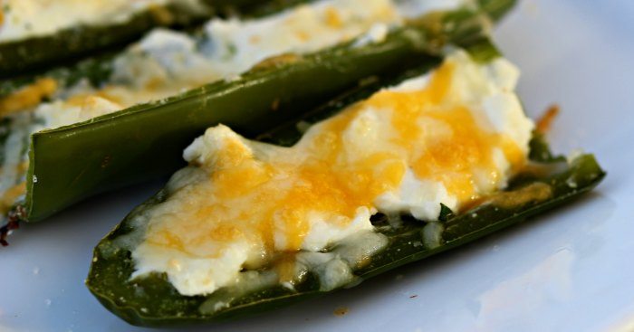 These Cream Cheese Stuffed jalapeños be your new favorite Stuffed Jalapeño Peppers Recipe. They are easy to make and everyone loves them!
