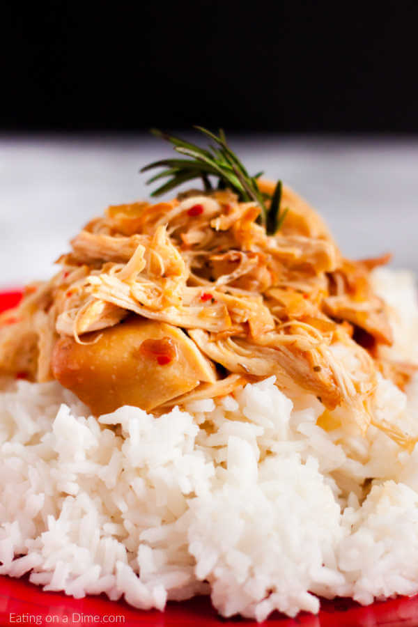 Close up image of savory chicken on rice on a red plate. 