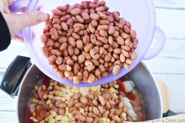 The pinto beans (rinsed and drained) being added to a large stock pot with the other ingredients 