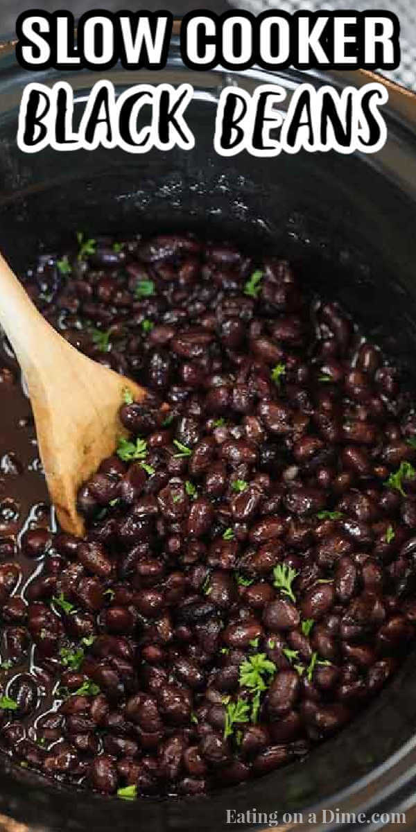 Save money and learn how to cook black beans in the crock pot. It is super easy and takes hardly any effort.