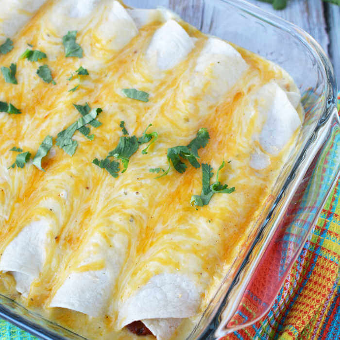 Close up of sour Cream Chicken Enchiladas in a Baking pan topped with melted cheese and fresh cilantro. 