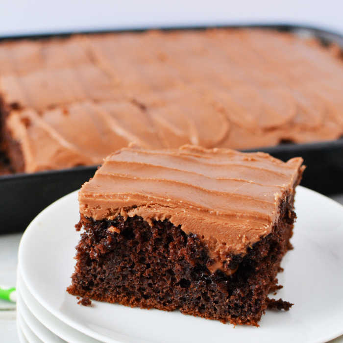 A serving of chocolate cola cake on a white plate