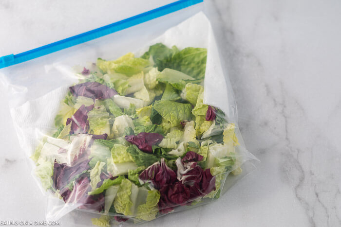 Have you ever wondered How to Keep Salad Fresh? We have all the tips and tricks to save you money and make your salad last longer. 