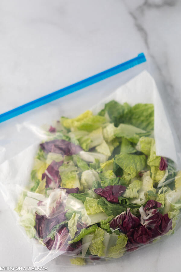 Have you ever wondered How to Keep Salad Fresh? We have all the tips and tricks to save you money and make your salad last longer. 