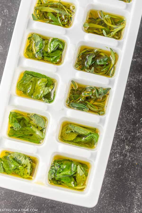 photo of ice tray with herbs and olive oil