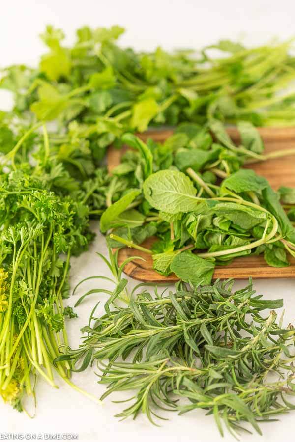 Closeup photo of fresh herbs.