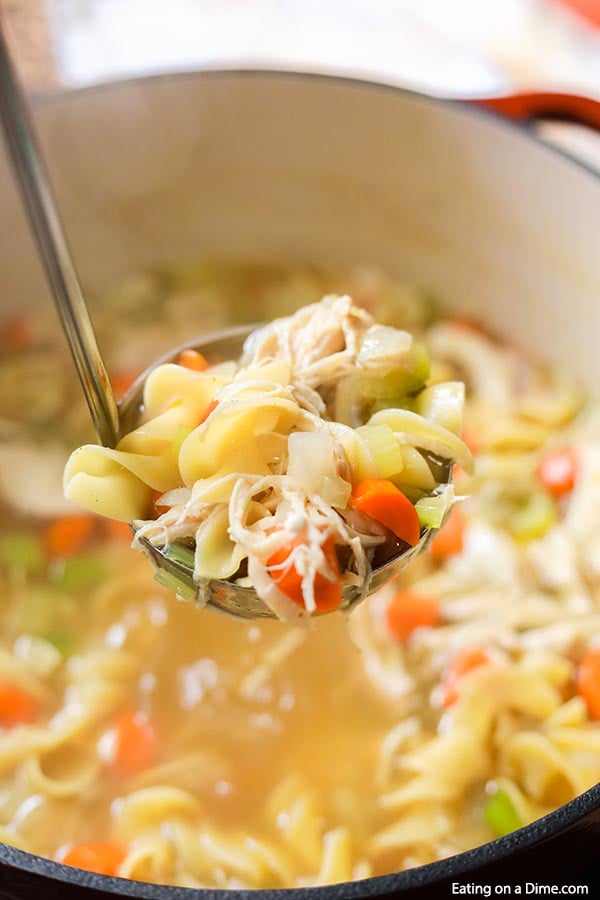 A large ladle full of chicken noodle soup scooping it out of the stock pot. 