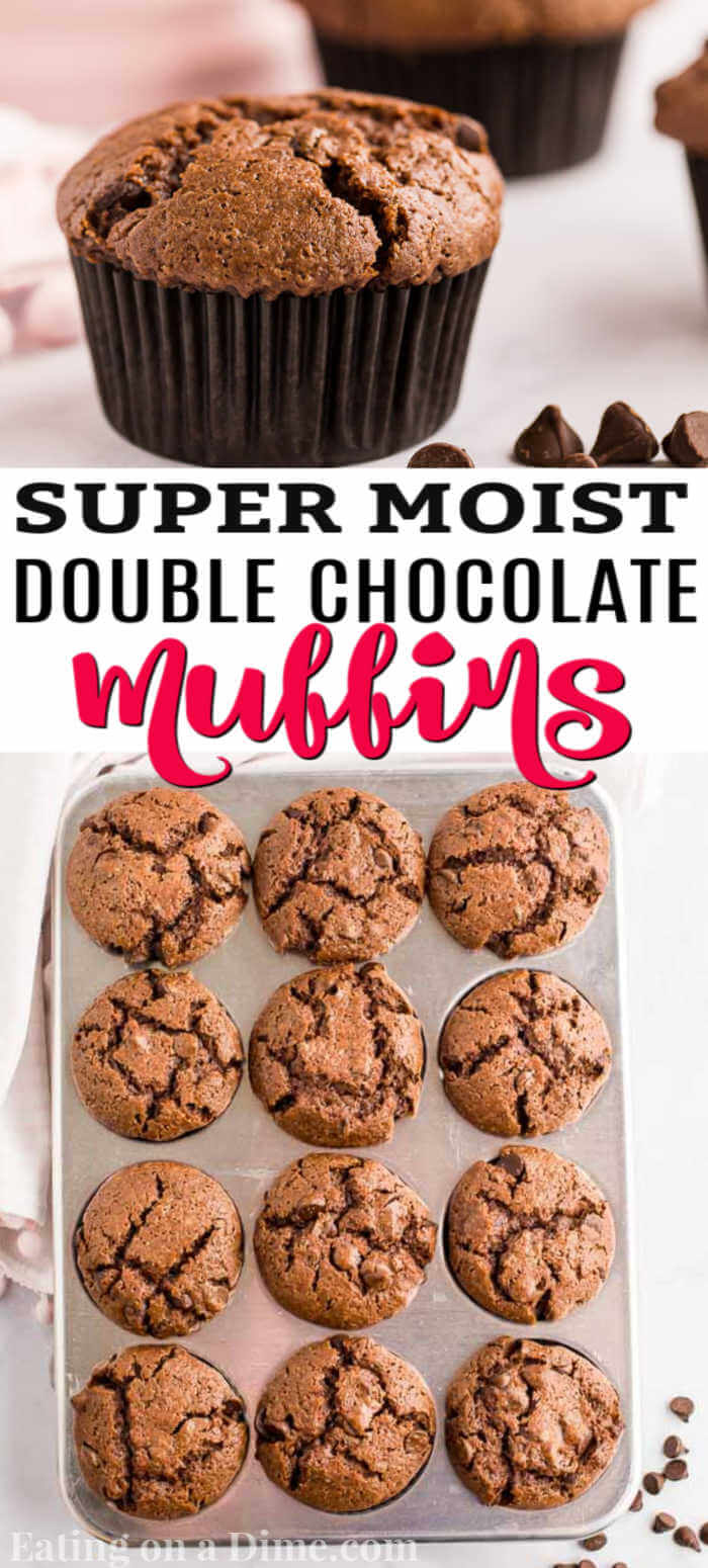 Make Double Chocolate Chip Muffins for the perfect excuse to enjoy chocolate for breakfast. Each bite is so decadent and amazing. 