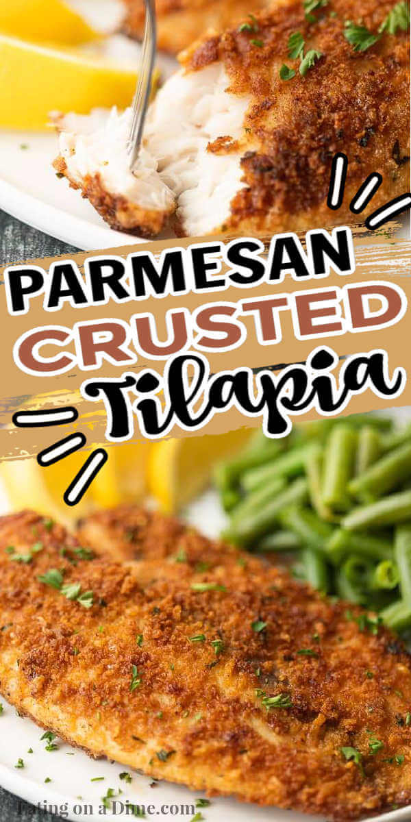 You have to try this delicious parmesan crusted tilapia recipe. It is easy to make in a skillet and tastes amazing! This parmesan tilapia is one of our favorite tilapia recipes. This is the best, pan fried parmesan tilapia recipe. This recipe is easy to make with simple ingredients. #eatingonadime #seafoodrecipes #tilapiarecipes #skilletrecipes #parmesantilapia 