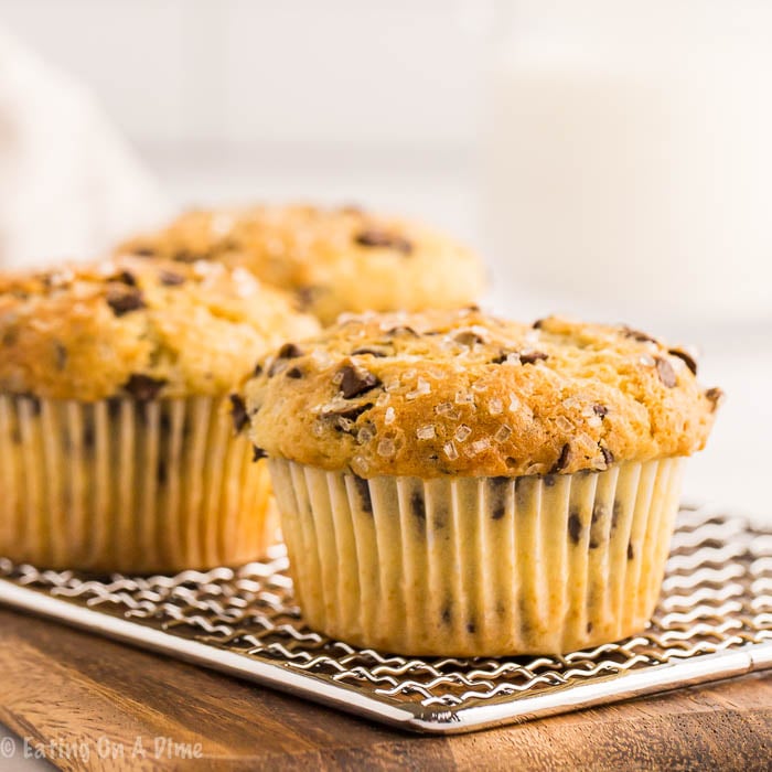 Enjoy a decadent and easy treat for breakfast when you make this Chocolate chip muffin recipe. Throw this together in minutes for tasty muffins.