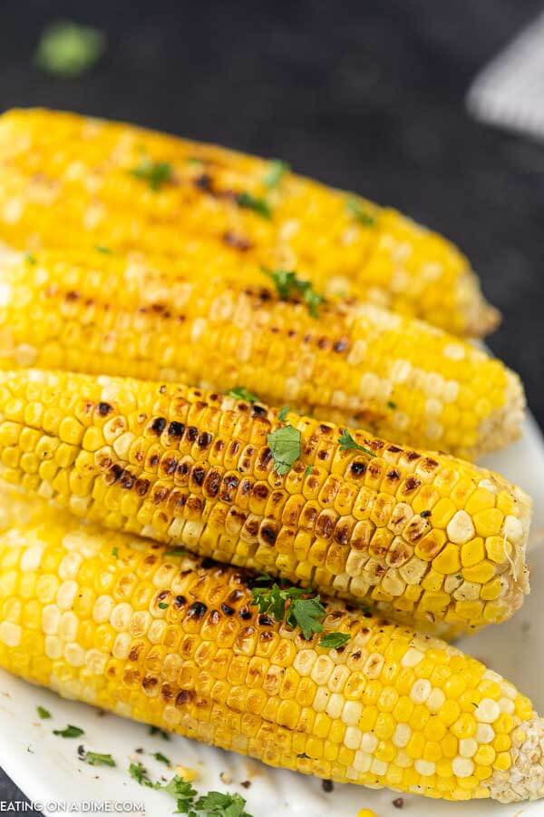 picture of corn on cob