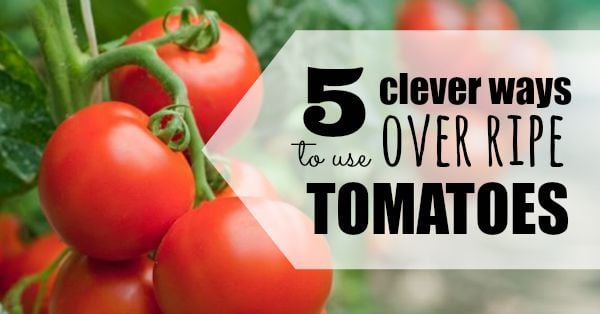 5 clever ways to use overripe tomatoes 