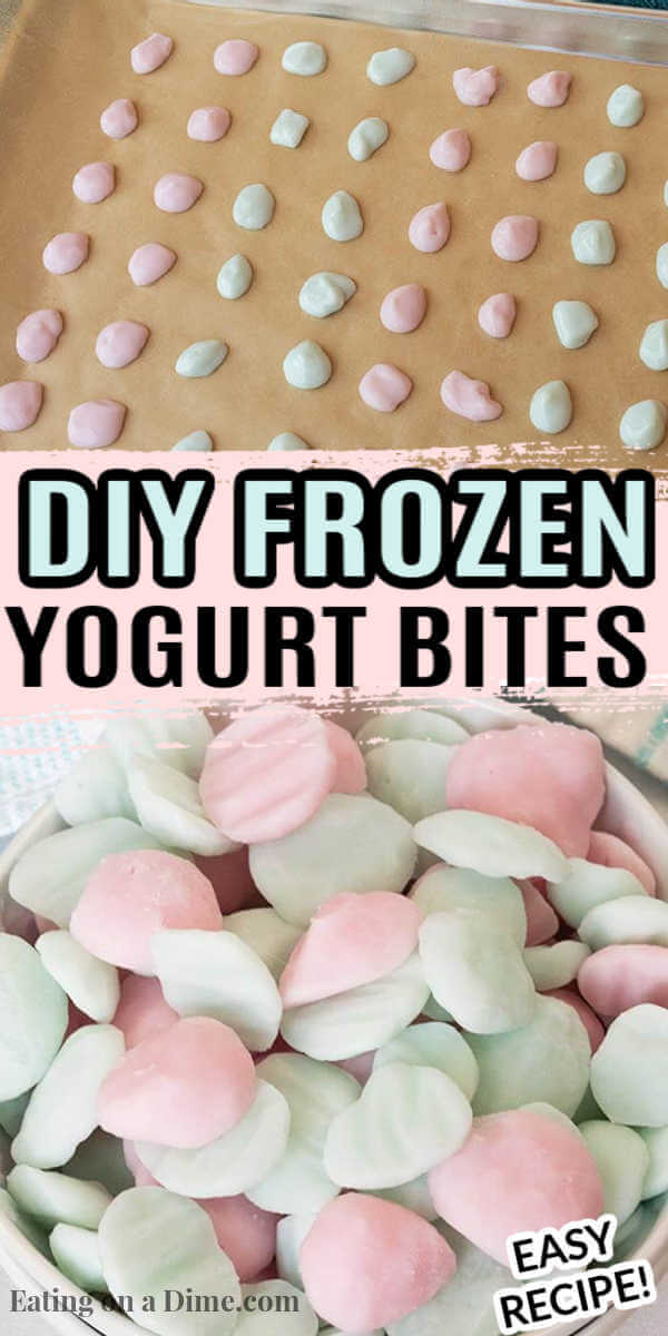 Learn how to make easy frozen yogurt bites for a tasty and healthy treat for the kids. Plus, you will save money too!