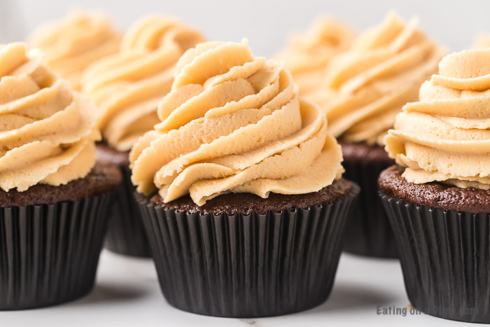 Close up image of several chocolate peanut butter cupcakes in a row. 