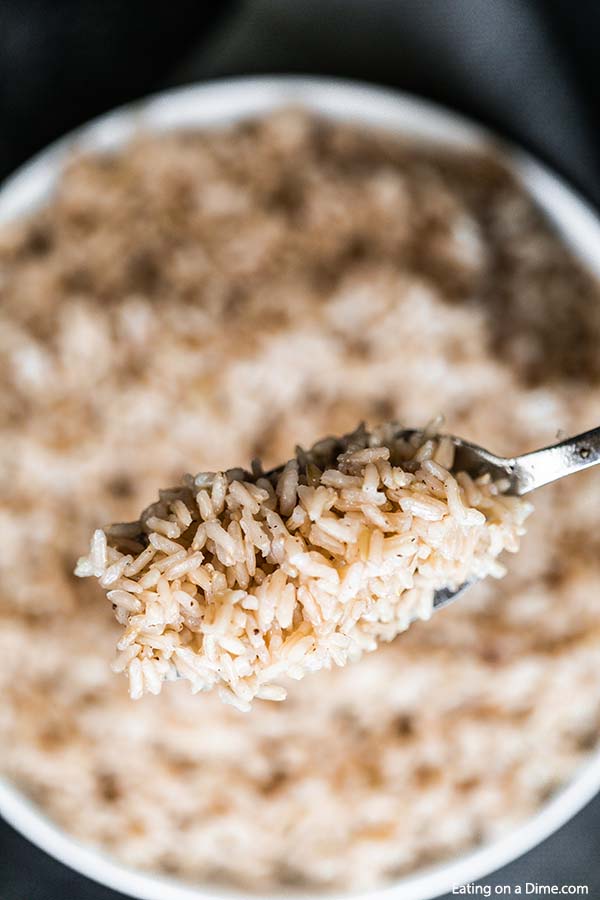Learn how to microwave brown rice in just a few simple steps! Cooking brown rice is much easier than you think! Your family will love it!