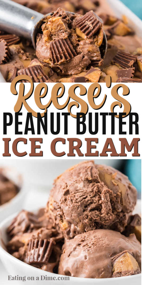 This Reese's Peanut Butter Ice Cream Recipe is delicious and easy to make! Since it is a no churn ice cream recipe anyone can make it!