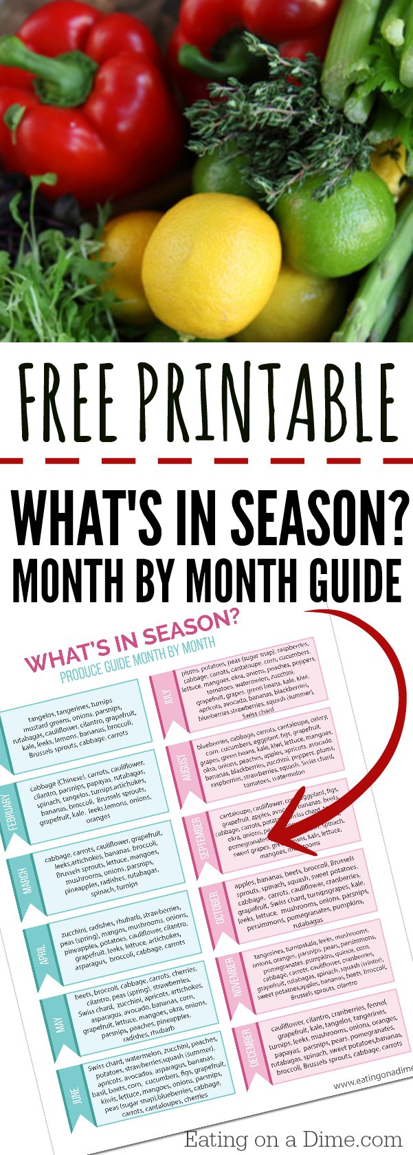 What's in season - A calendar of fruits and vegetables in season. Month by month list of produce in season to help you save money. 