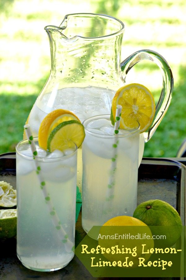 These delicious Homemade lemonade recipes will quench your thirst and they are so simple to make. Try over 35 quick and easy recipes..