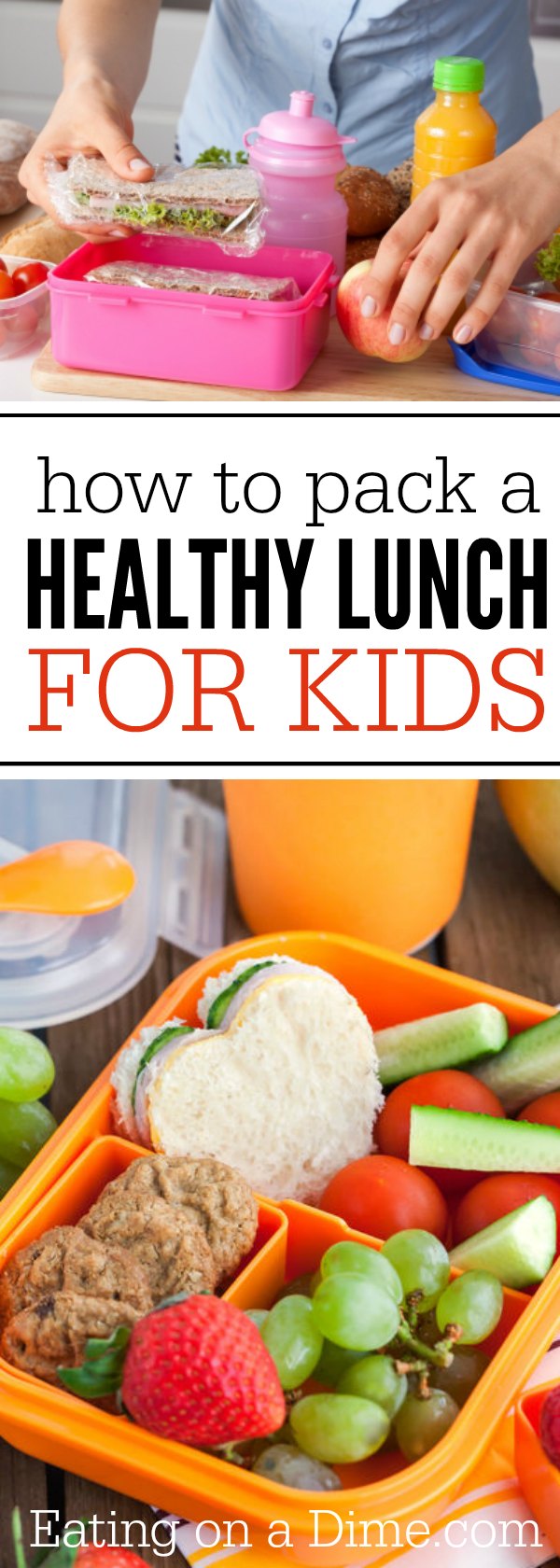 How to pack healthy lunches for kids quickly. Here are simple tips on how to pack healthy lunches ideas that kids will love. 