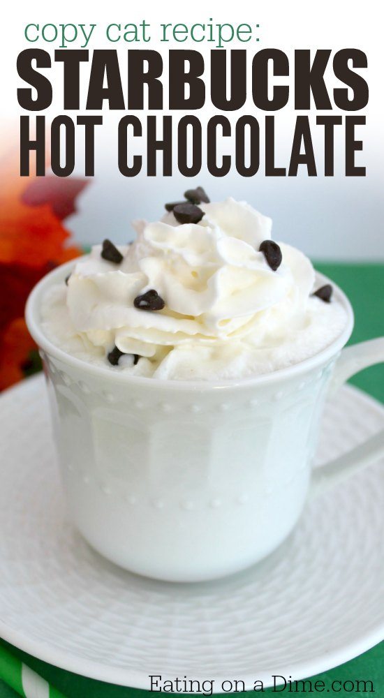 Homemade hot chocolate recipes are easy to make and so decadent. Try over 20 of the best hot chocolate recipes for a great treat. 