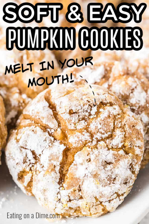 Easy pumpkin cookies are amazing! You can make them in under 15 minutes with very few ingredients. Try this easy pumpkin cookies recipe today!