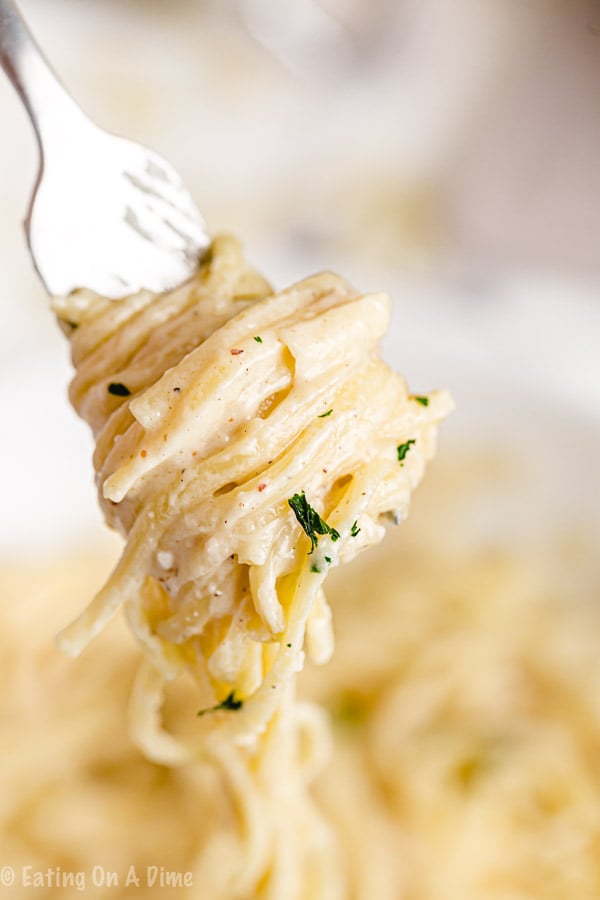 Noodles coated in Alfredo sauce wrapped around a fork 