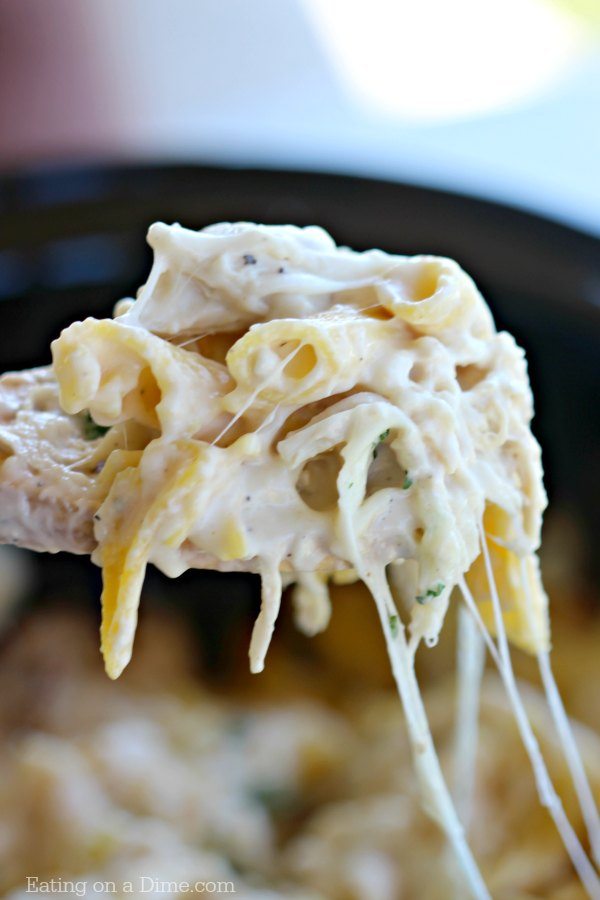 Try this easy crock pot chicken Alfredo casserole recipe - This Chicken Alfredo pasta in the crock pot is delicious and packed with flavor! Try it today.