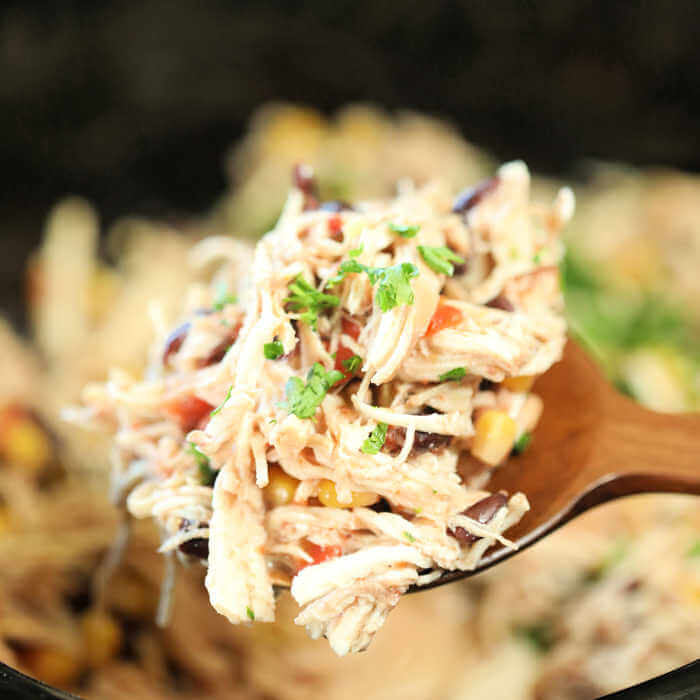 Crock Pot Fiesta Chicken Recipe is perfect for tacos, salads, burrito bowls and more! Crock pot Fiesta lime Chicken is creamy and tasty and sure to impress. Crock Pot Fiesta Chicken Recipe is perfect for tacos, salads, burrito bowls and more! Crock pot Fiesta lime Chicken is creamy and tasty and sure to impress.