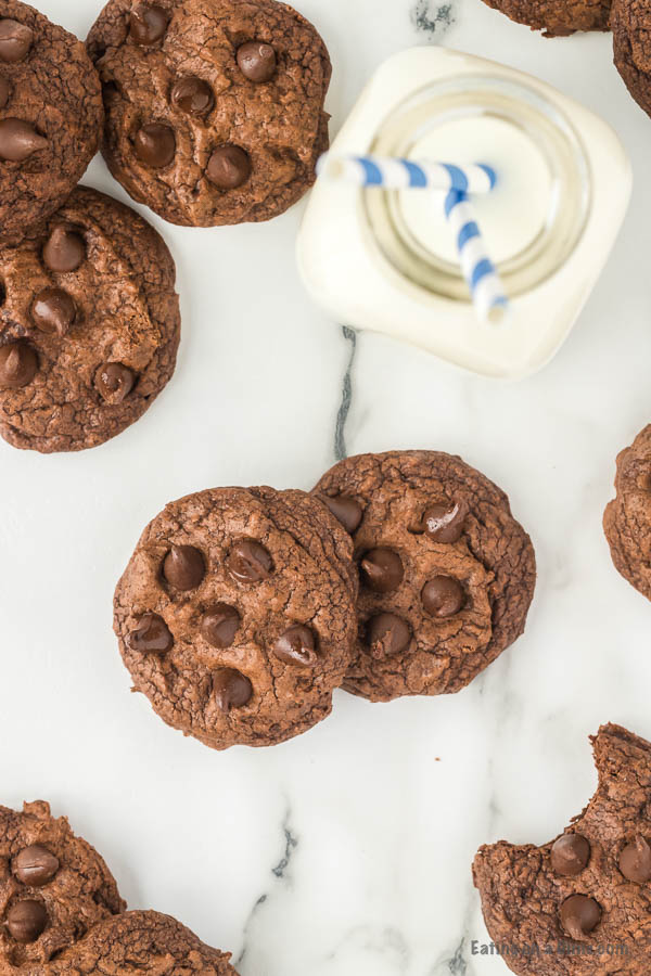 Close up of Brownie cookie. 