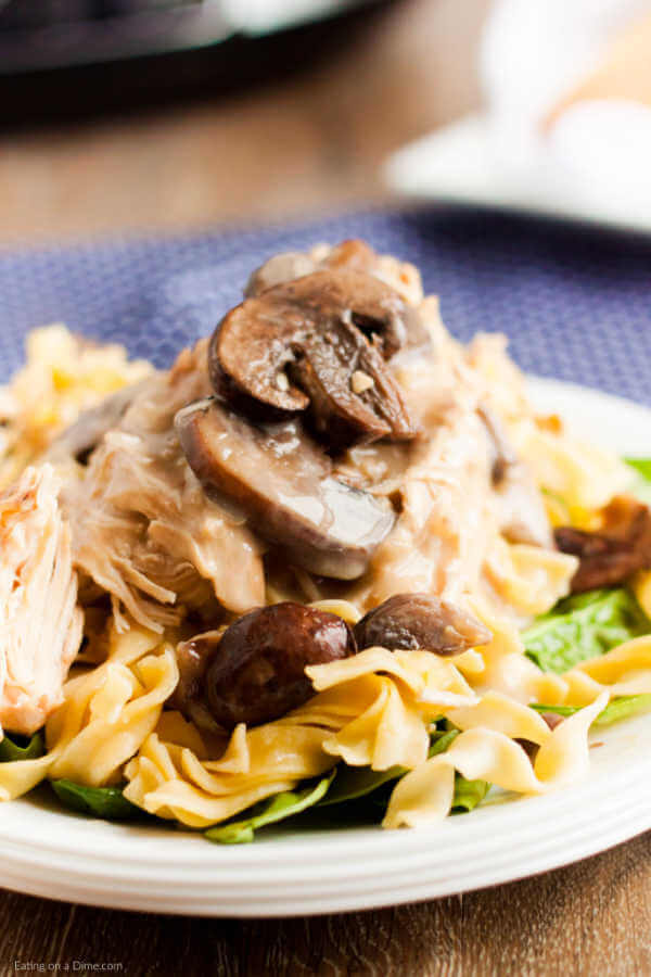 white plate with pasta topped with chicken marsala