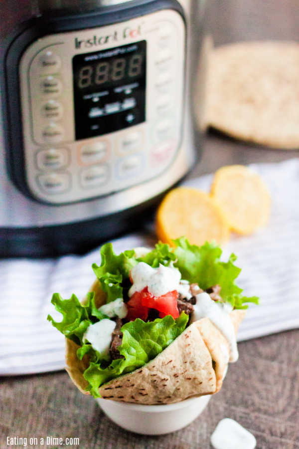 Beef Gyro wrapped in a pita