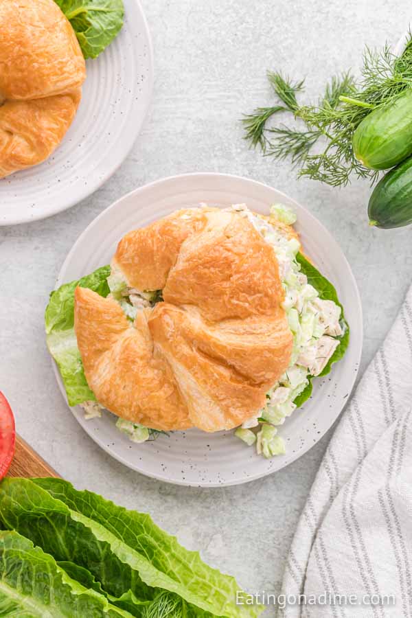 Close up image of cucumber chicken salad on a crossiant