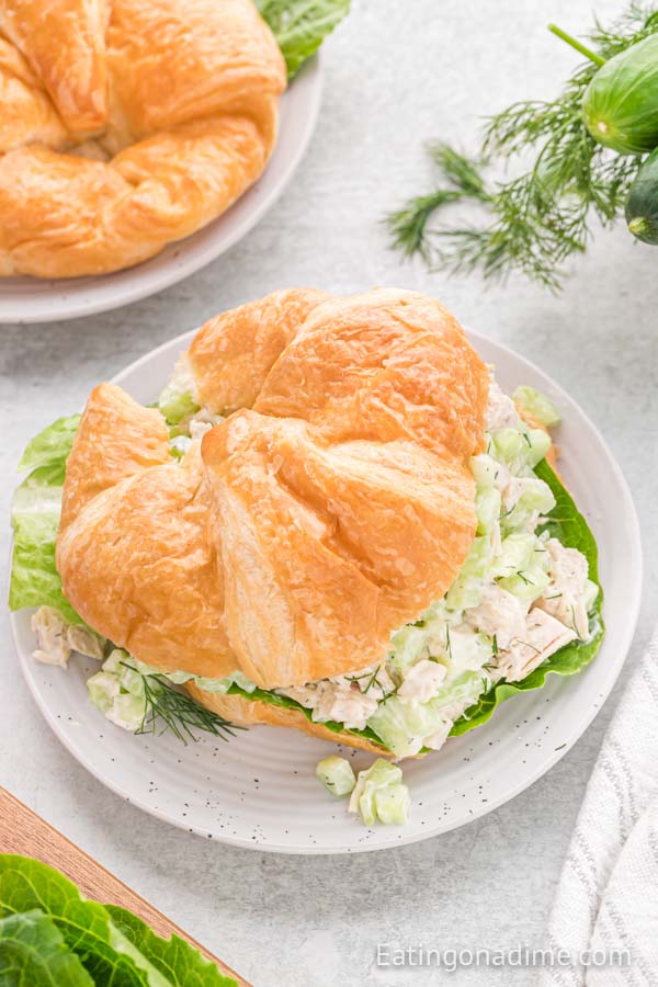Close up image of cucumber chicken salad on a crossaint