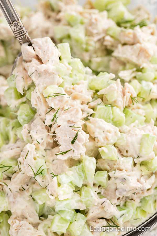 Close up image of cucumber chicken salad