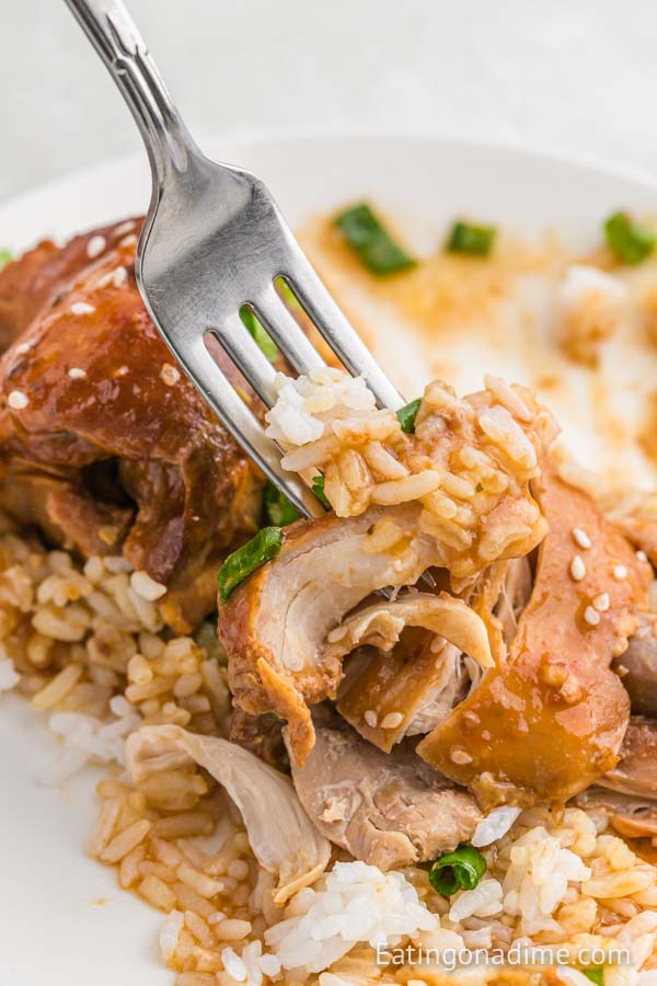 Close up image of chicken thighs and rice with a serving on a fork. 