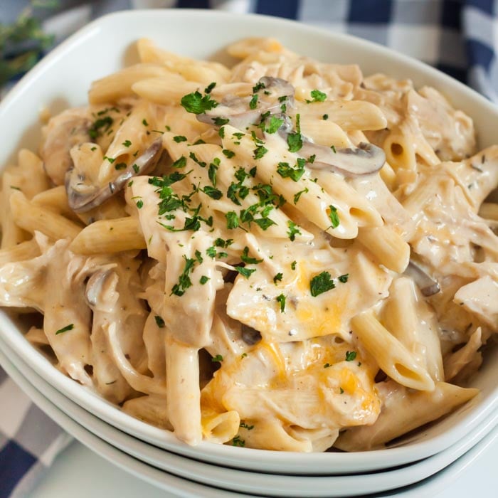 Creamy Cheesy Pasta in a bowl