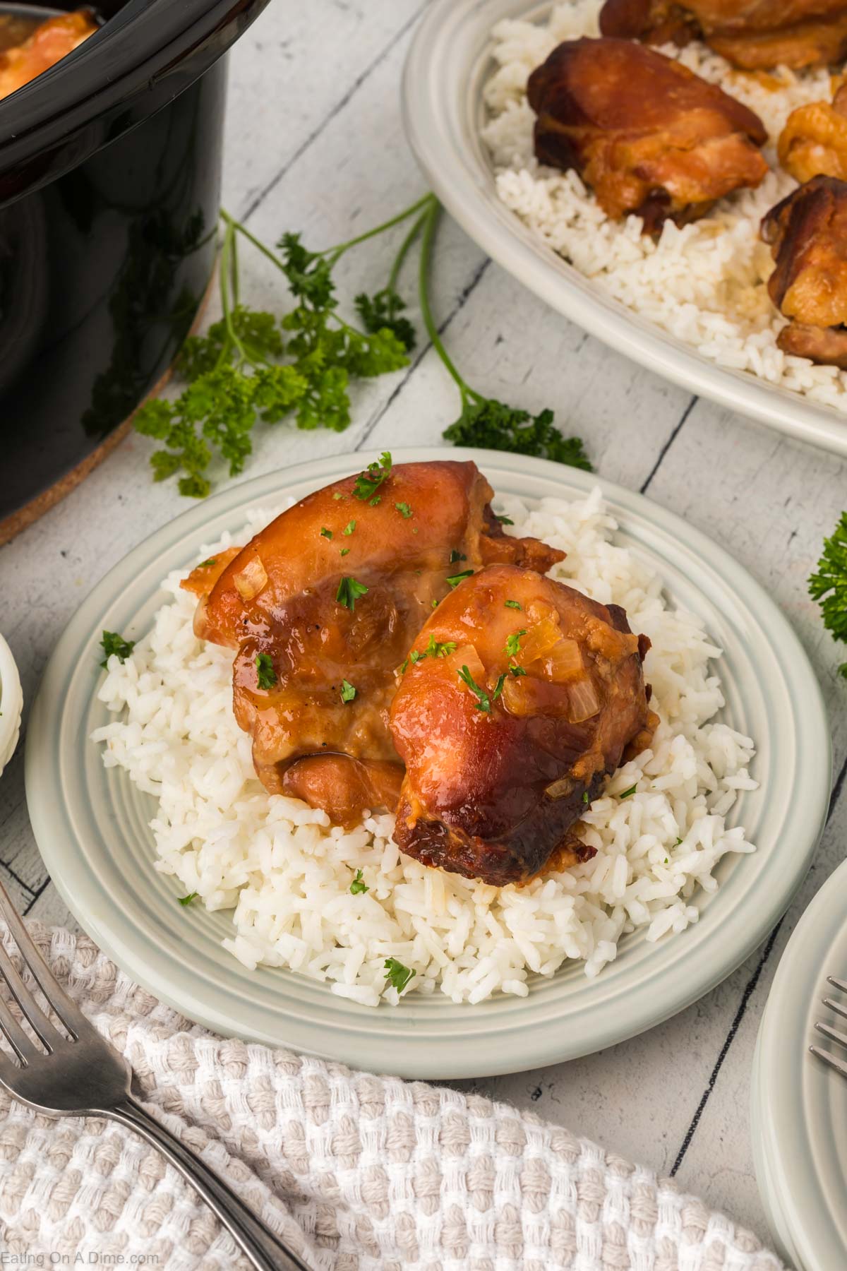 Apricot chicken thighs on white rice on a plate