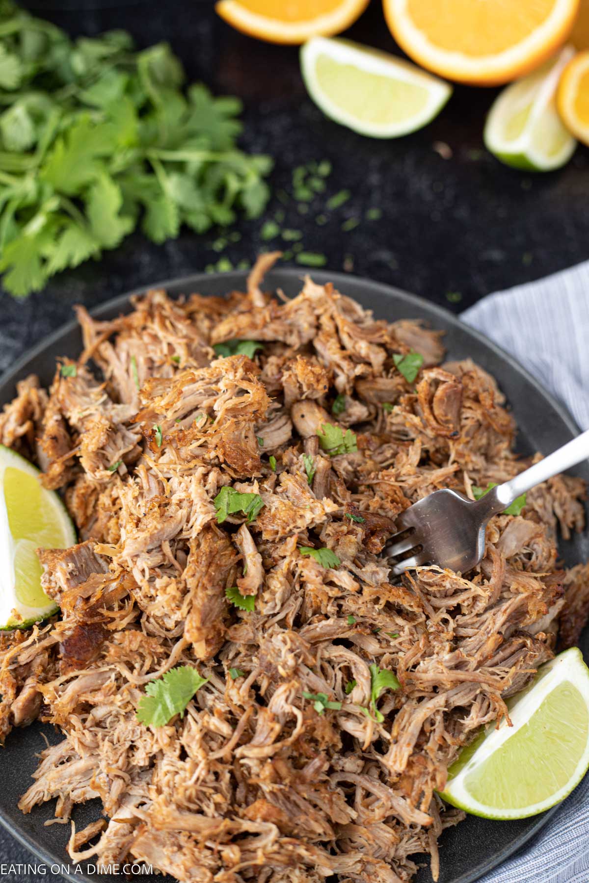 Shredded Pork Carnitas on a plate with fresh lime on the side