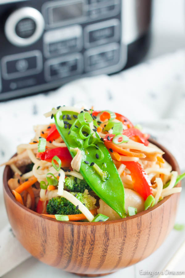 Close up image of Chicken Chow Mein in a brown bowl. 