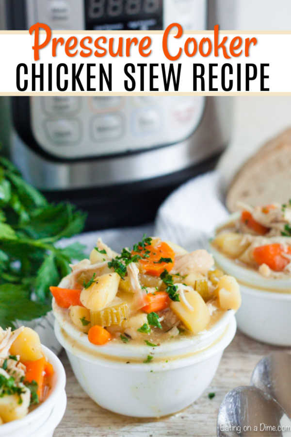 Instant Pot Chicken Stew Recipe is comfort food in every bite. Tons of flavorful chicken combined with potatoes, veggies and more make a great meal.