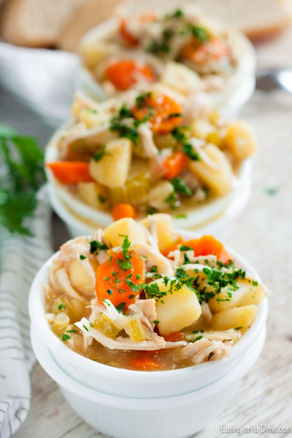 Instant Pot Chicken Stew Recipe - Ready in under 30 minutes!