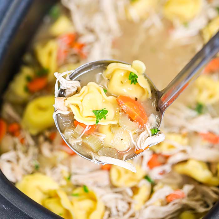 Close up of a ladle full of chicken tortellini soup. 