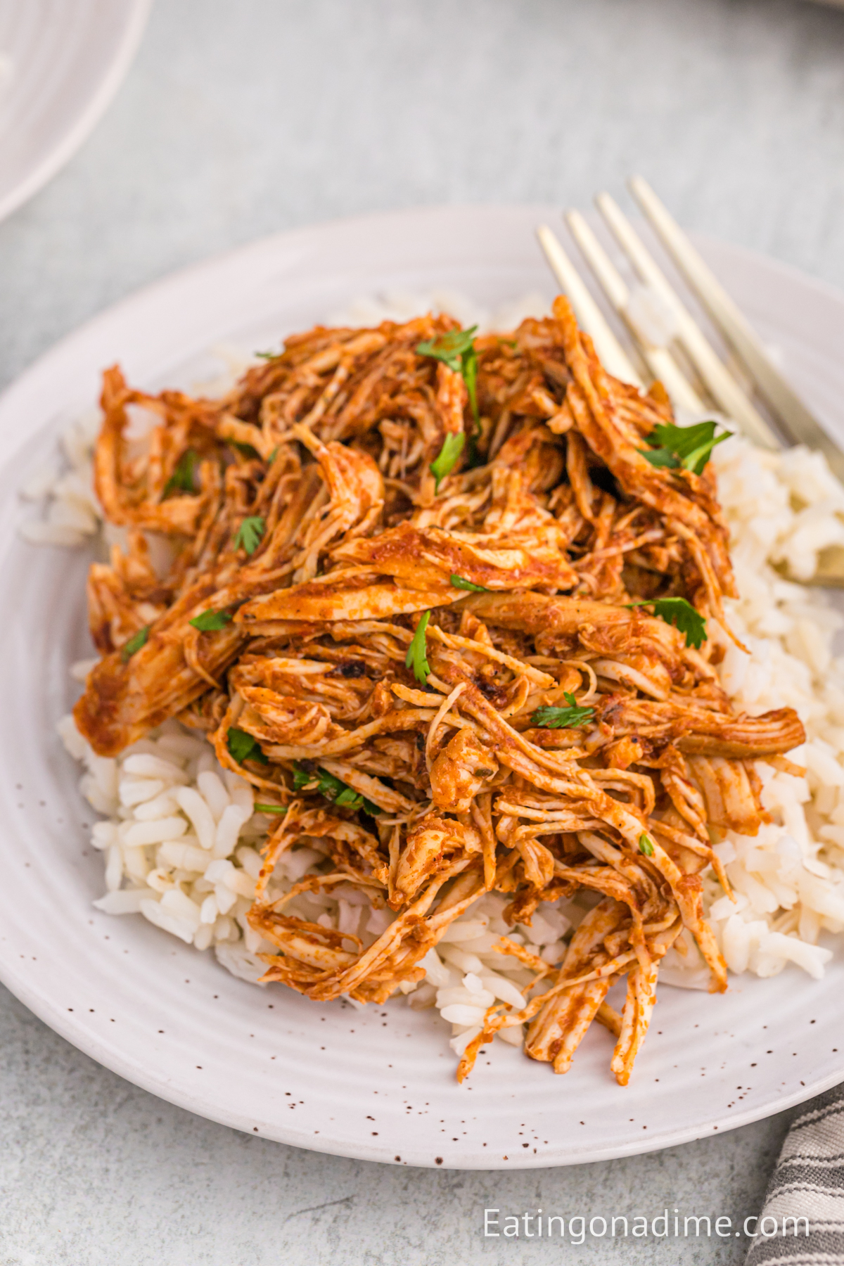 Chipotle Shredded Chicken over white rice on a plate with a fork