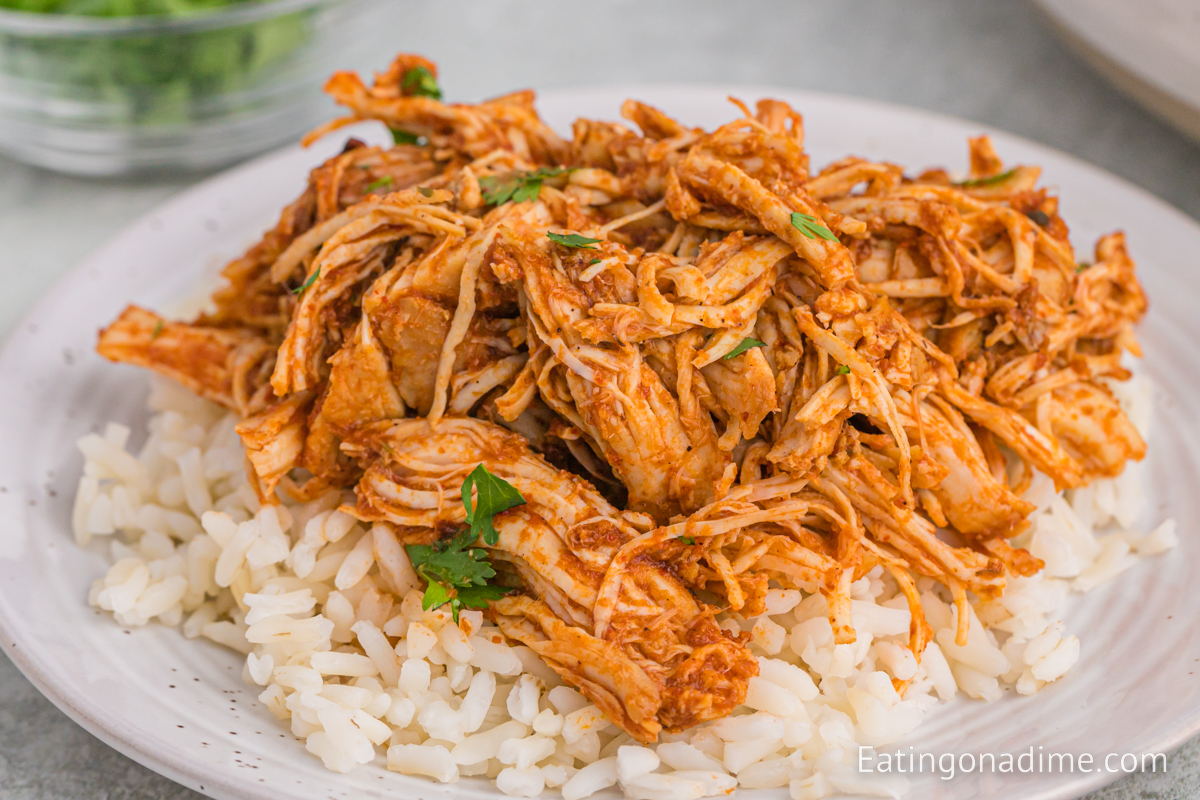Chipotle Shredded Chicken over white rice on a plate