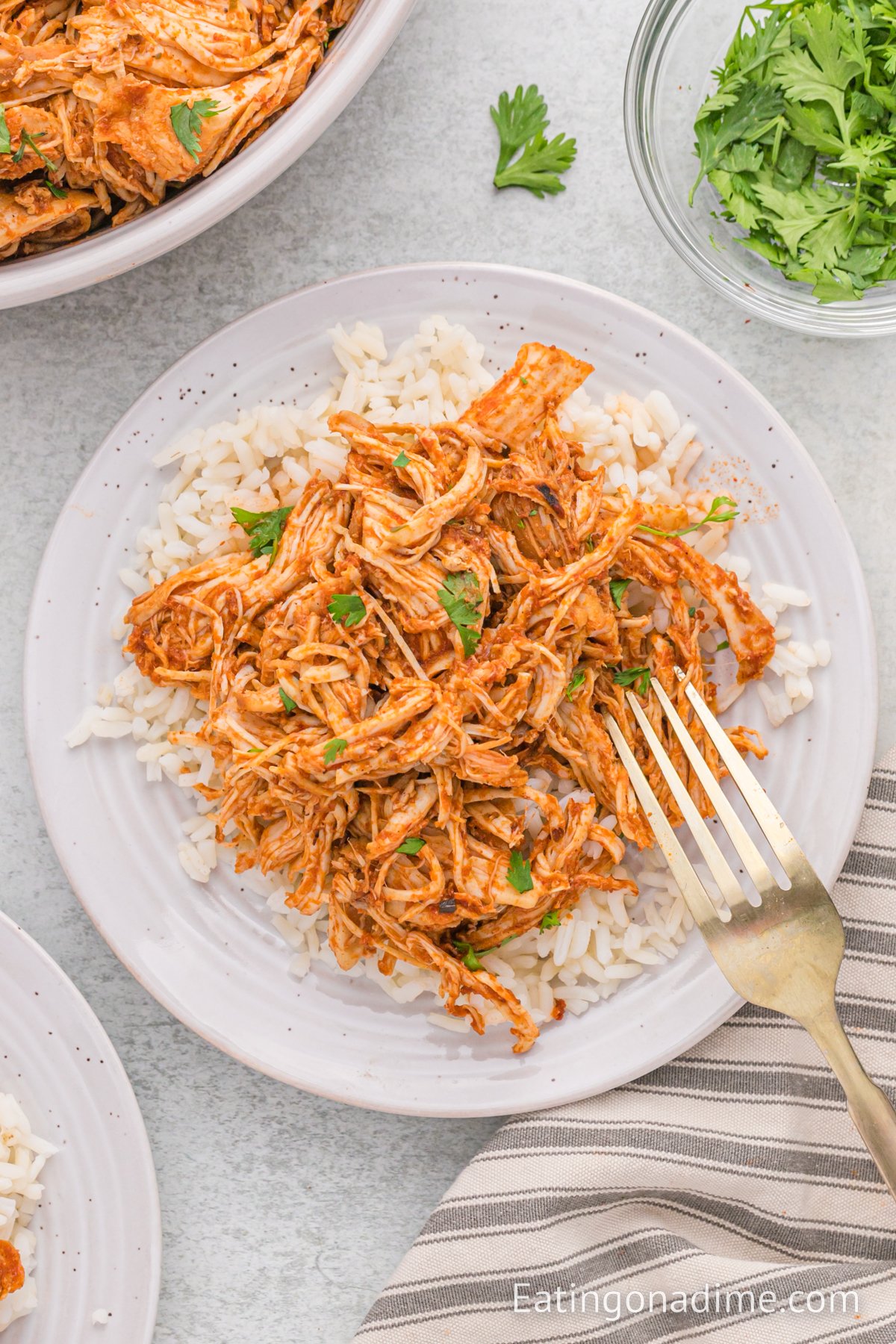 Chipotle Shredded Chicken over white rice on a plate with a fork