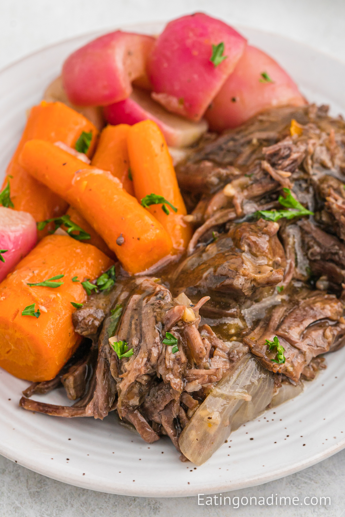 Pot Roast on a plate with carrots and radishes
