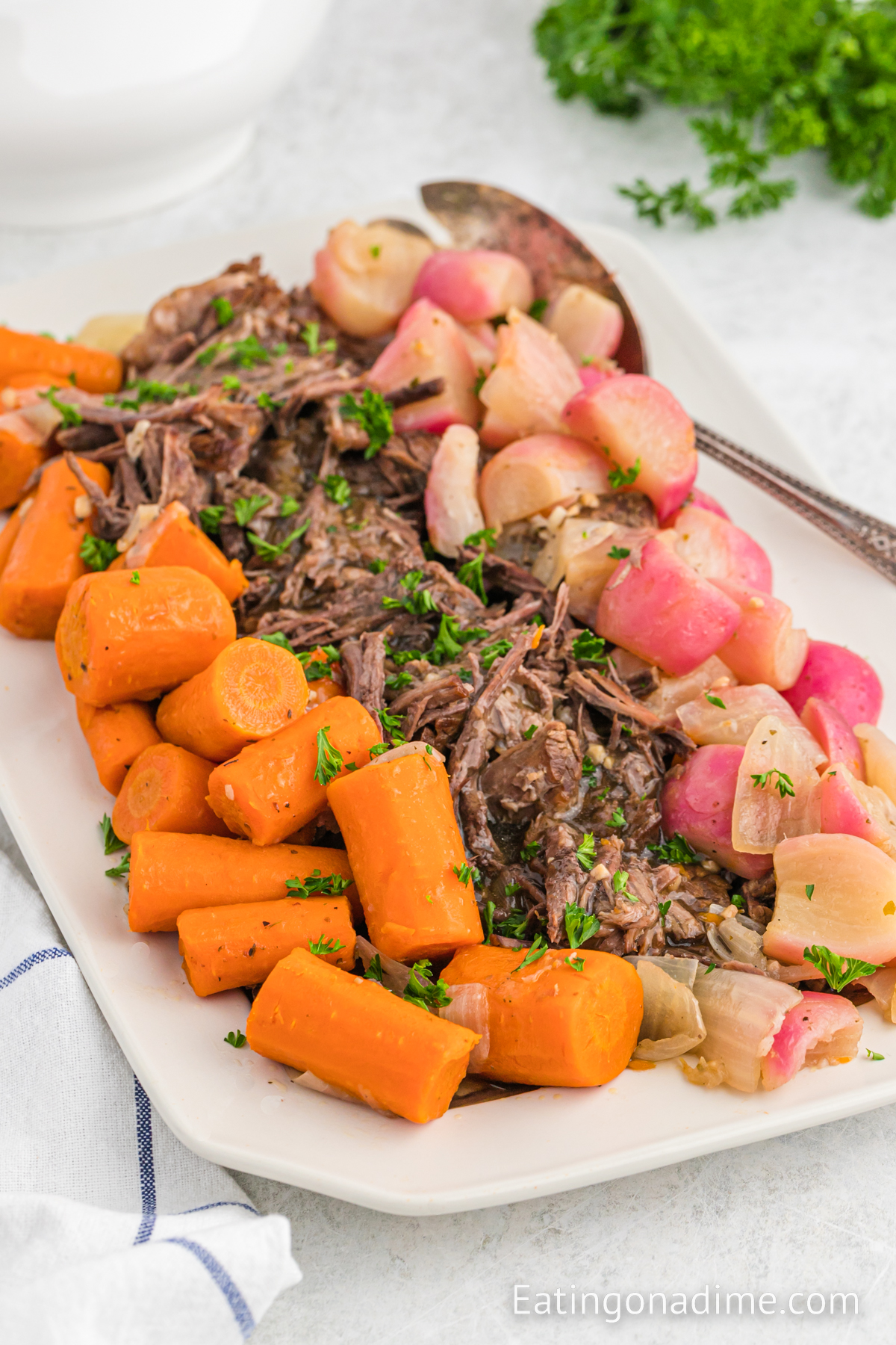 A platter with shredded pot roast, radishes, onions, and carrots