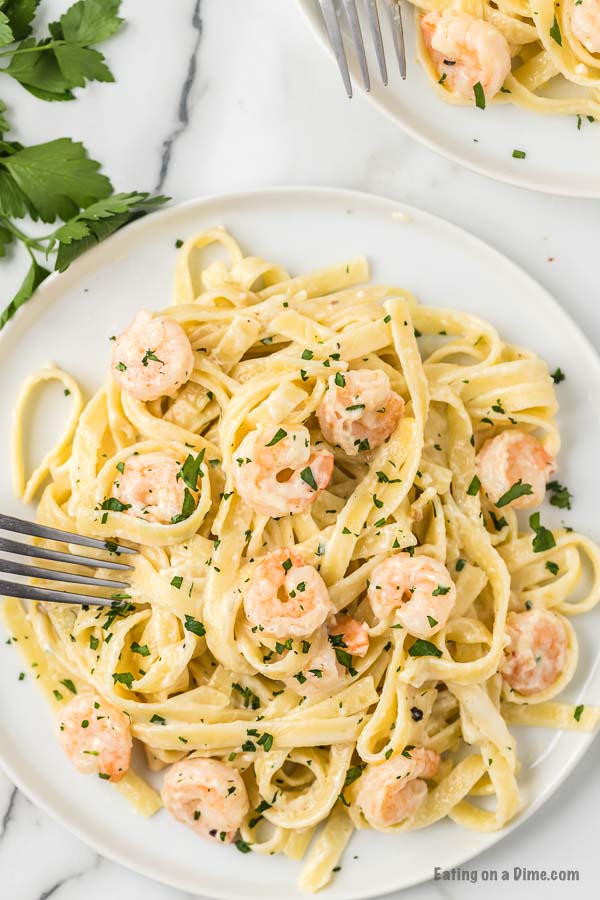 Close up image of a plate of shrimp alfredo.